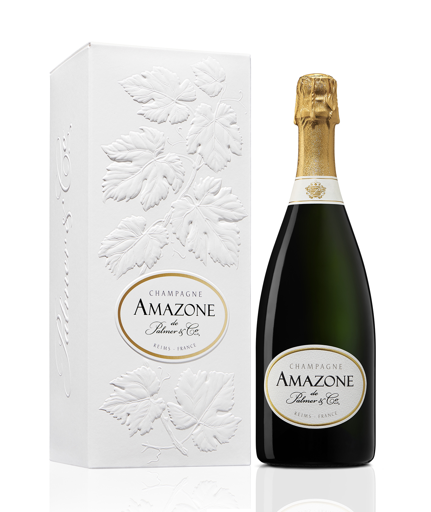 Amazone de Palmer Brut