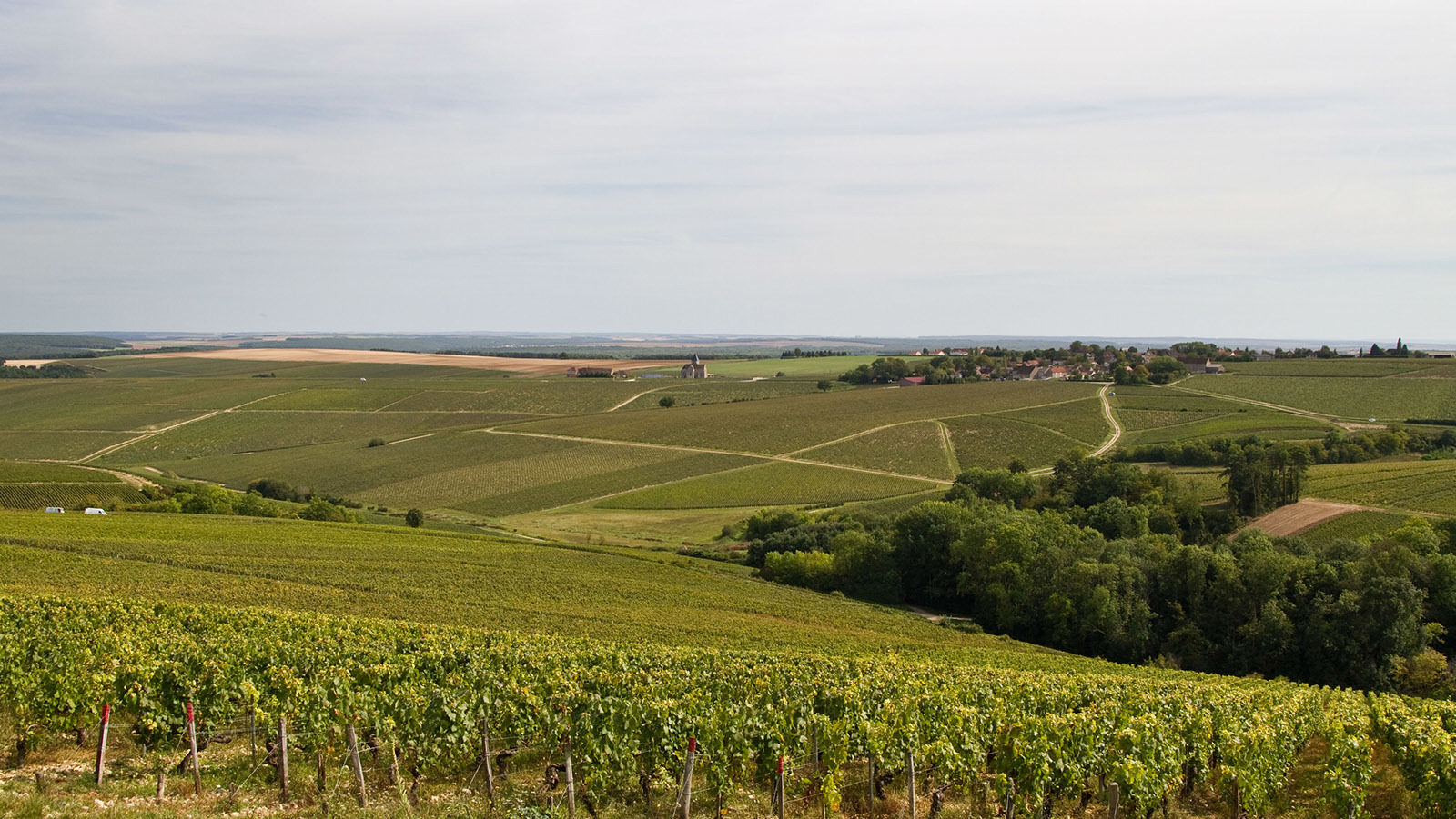 Bilde fra vingården Ch. du Val de Mercy